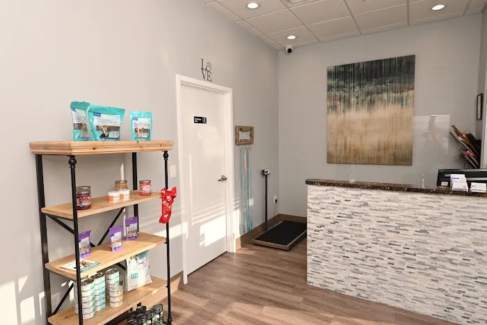 Tavares Crossroads Veterinary Clinic 3