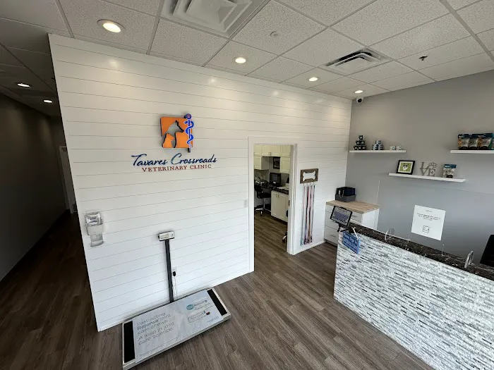 Tavares Crossroads Veterinary Clinic 2