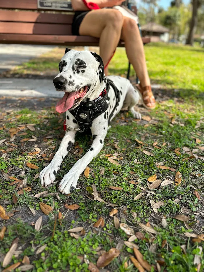 Mount Dora Veterinary Hospital 12