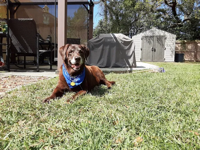 Mount Dora Veterinary Hospital 12