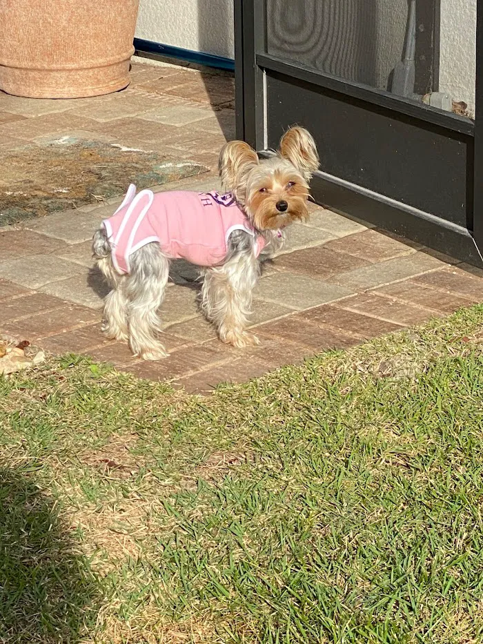 Mount Dora Veterinary Hospital 12