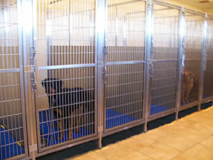 Four Corners Animal Clinic 12