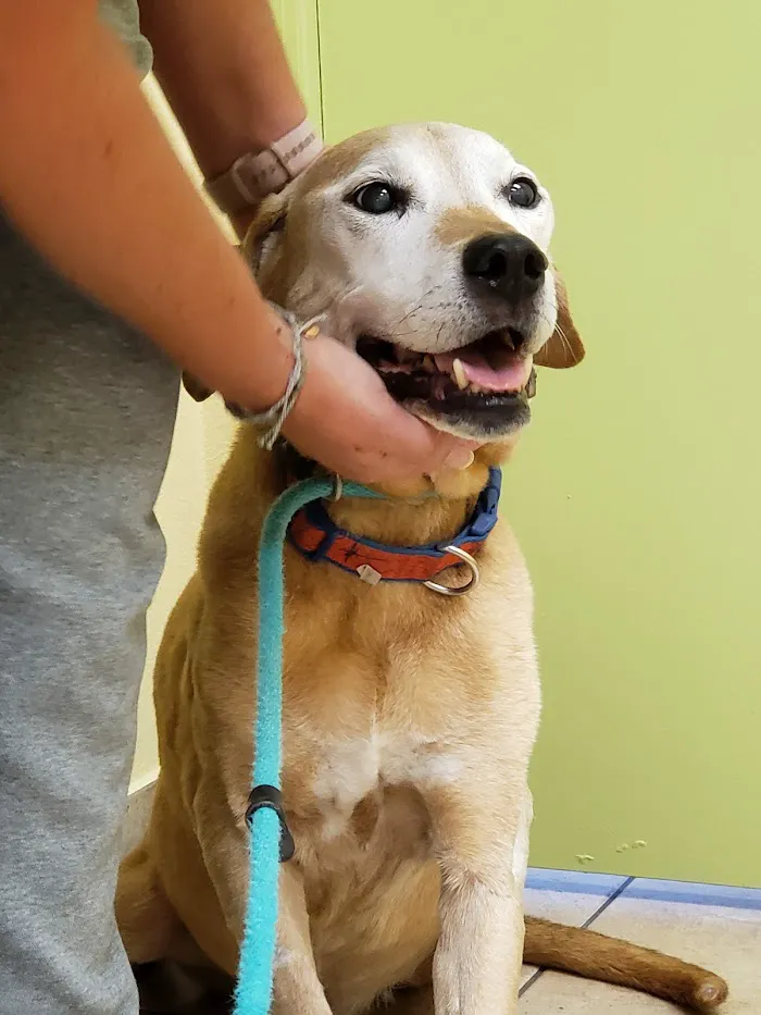 Four Corners Animal Clinic 12