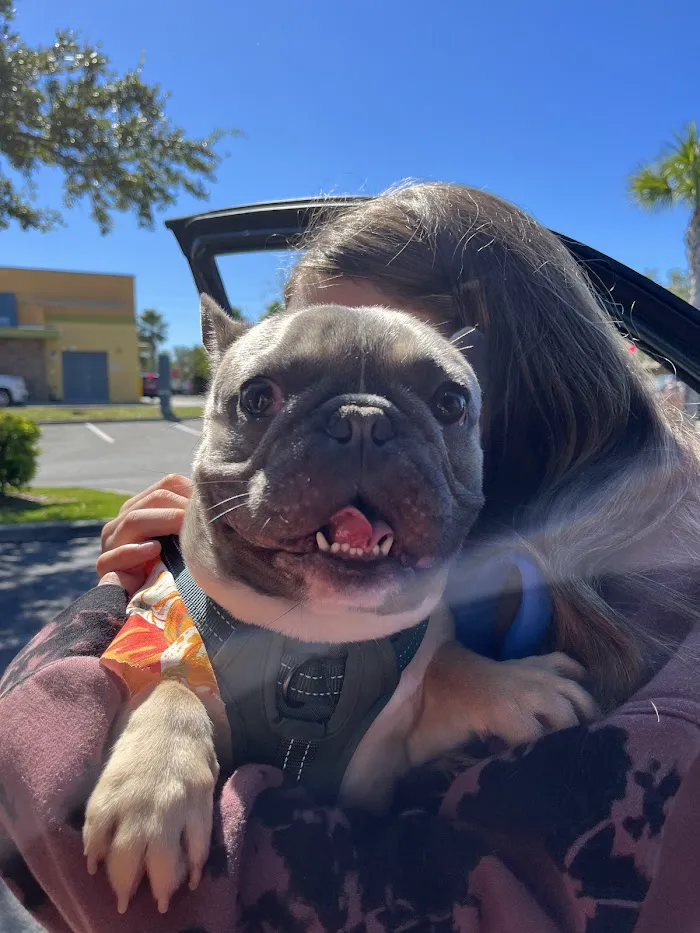 Affordable Pet Care at Four Corners 12