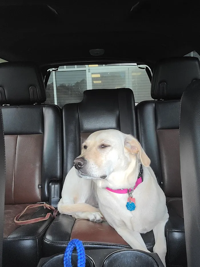 Lakeridge Animal Hospital 9