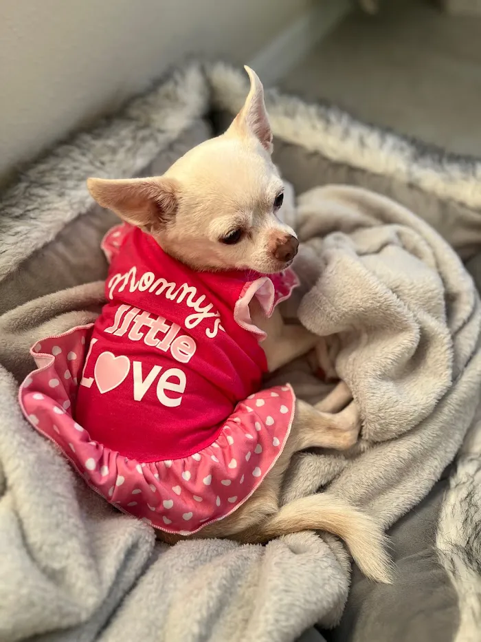 Lakeridge Animal Hospital 8