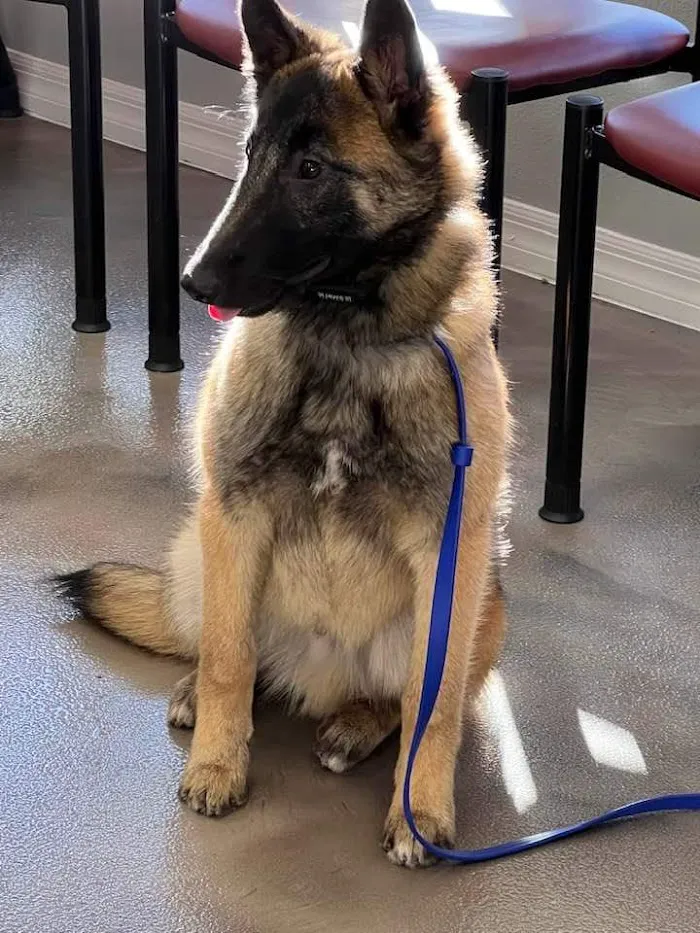 Lakeridge Animal Hospital 7