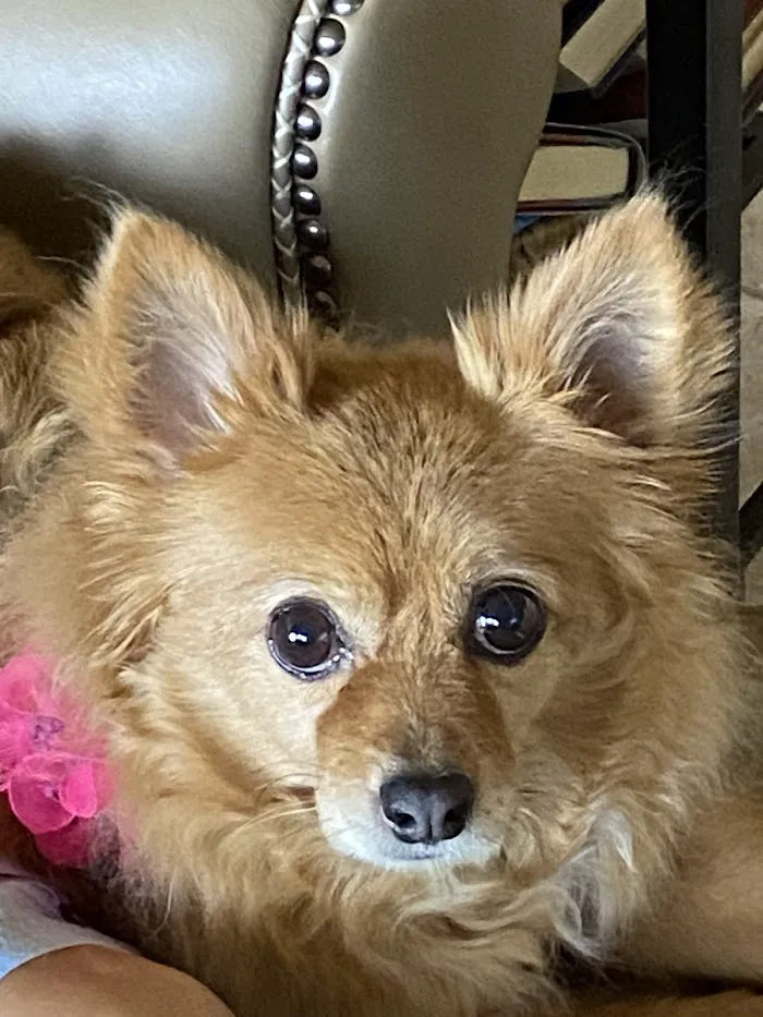 Lakeridge Animal Hospital 3