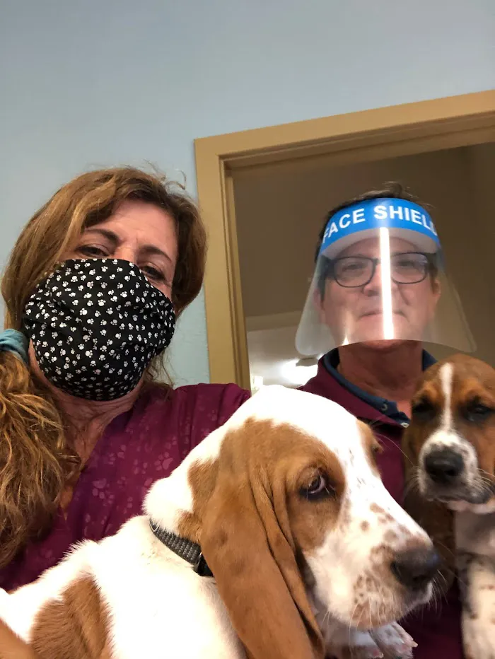 South Lake Animal Hospital 12