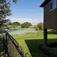 South Lake Animal Hospital ico
