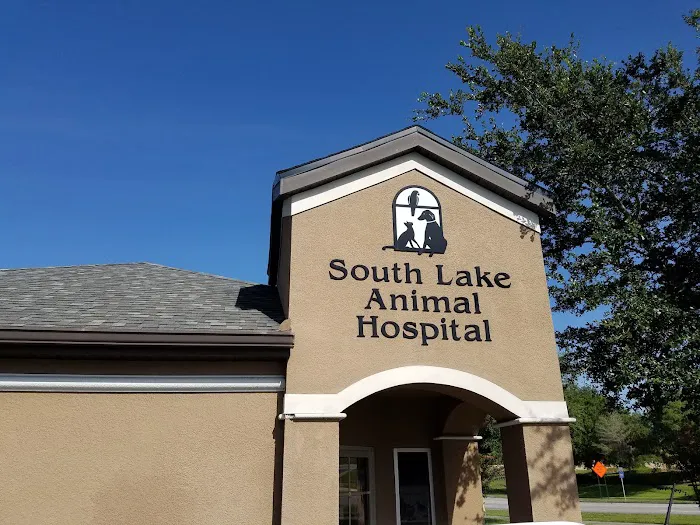South Lake Animal Hospital 12