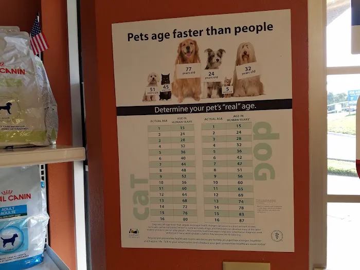 South Lake Animal Hospital 12