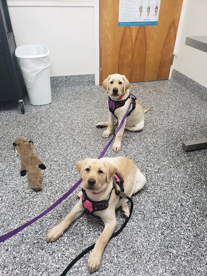 Deltona Animal Medical Center 7