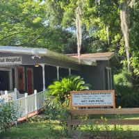 Geneva Oaks Animal Hospital ico