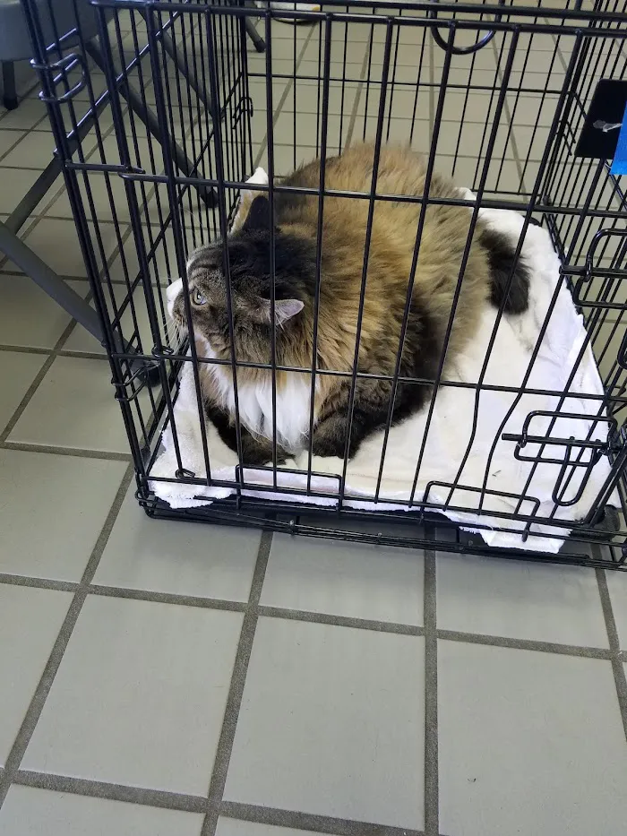 Cohen Veterinary Center 6