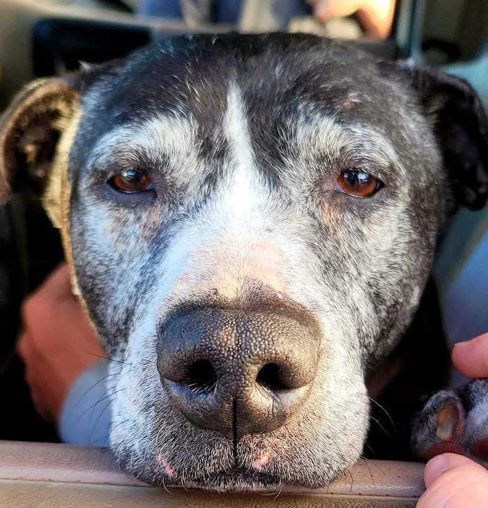Cohen Veterinary Center 7