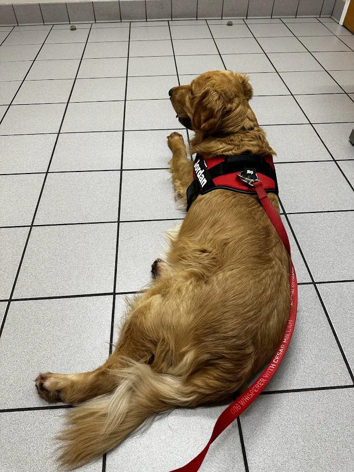 Spring Oaks Animal Care Center 12