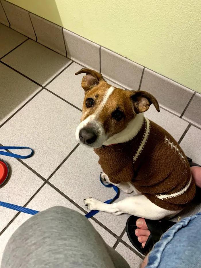 Spring Oaks Animal Care Center 12