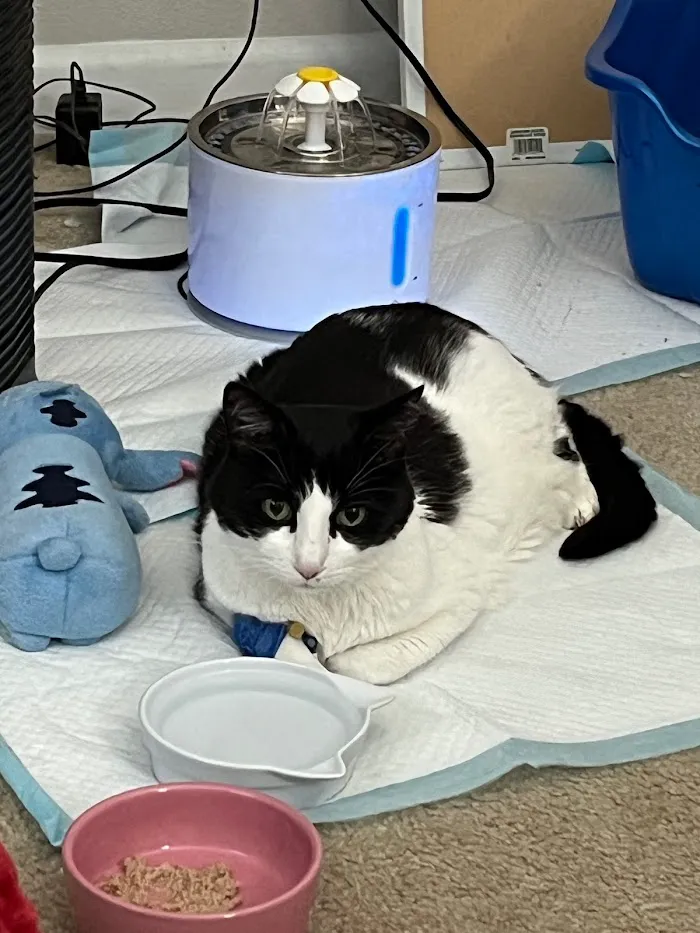 East Lake Animal Clinic 12