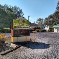 East Lake Animal Clinic ico