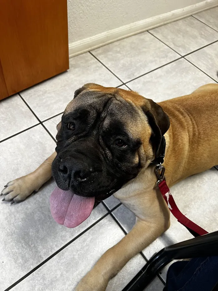 East Lake Animal Clinic 12