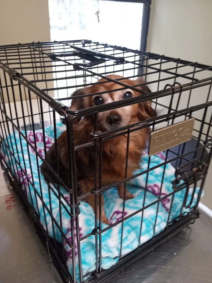 Obt-Orange Ave Pet Doc Hospital 12