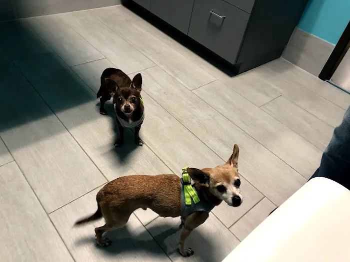 Salazar Veterinary Hospital 3