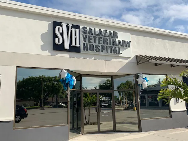 Salazar Veterinary Hospital 2