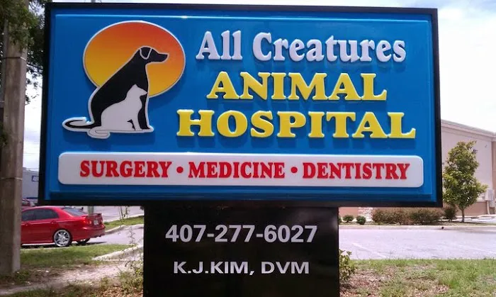 All Creatures Animal Hospital 12