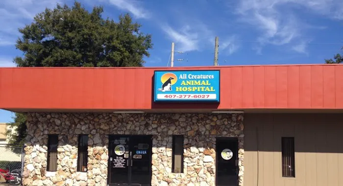 All Creatures Animal Hospital 12