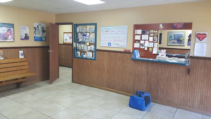 All Creatures Animal Hospital 12