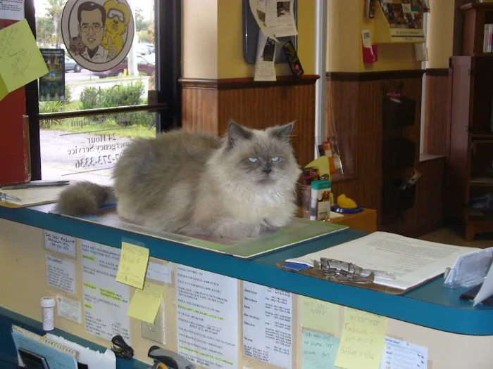 All Creatures Animal Hospital 12
