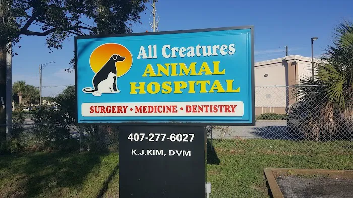 All Creatures Animal Hospital 12