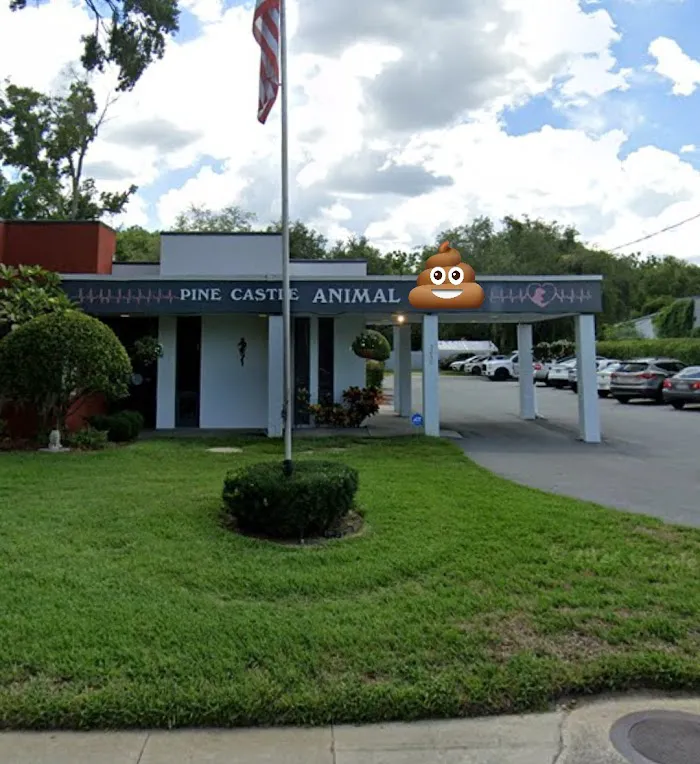 Pine Castle Animal Clinic 12