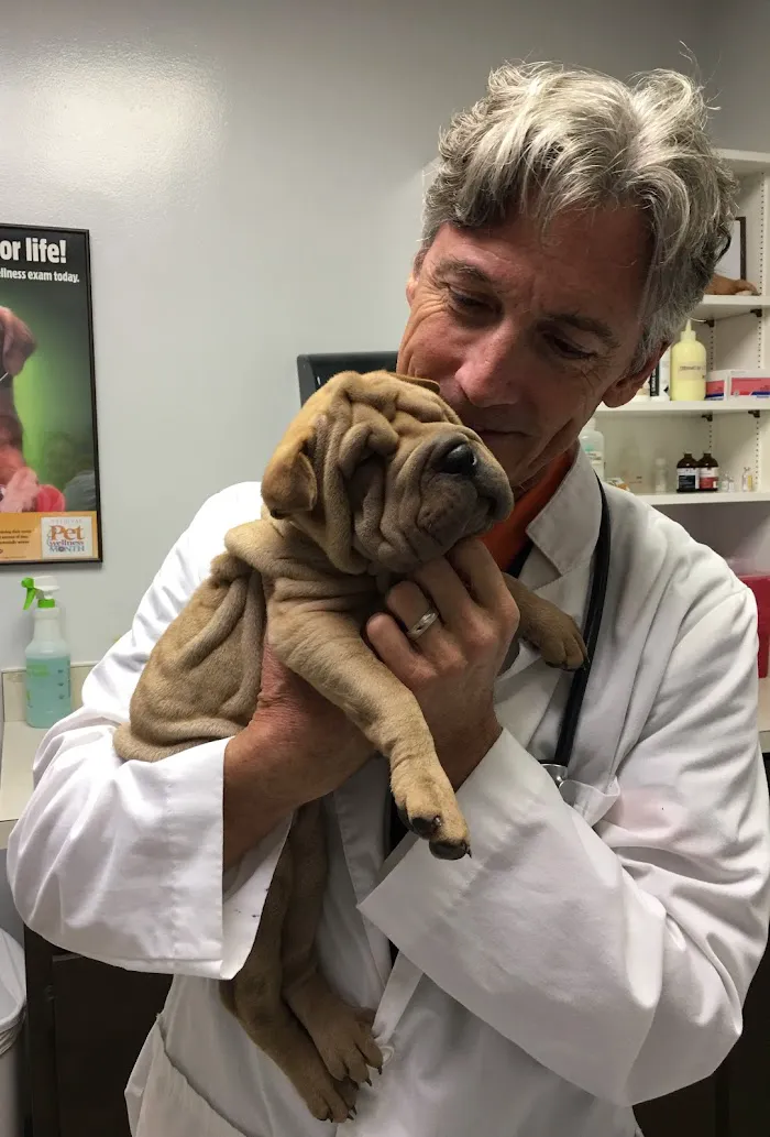 Pine Castle Animal Clinic 12