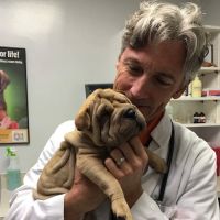 Pine Castle Animal Clinic ico