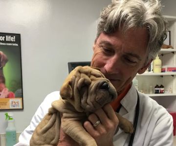 Pine Castle Animal Clinic