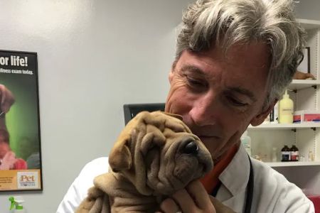 Pine Castle Animal Clinic