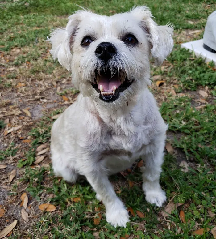 Conway Veterinary Hospital 12