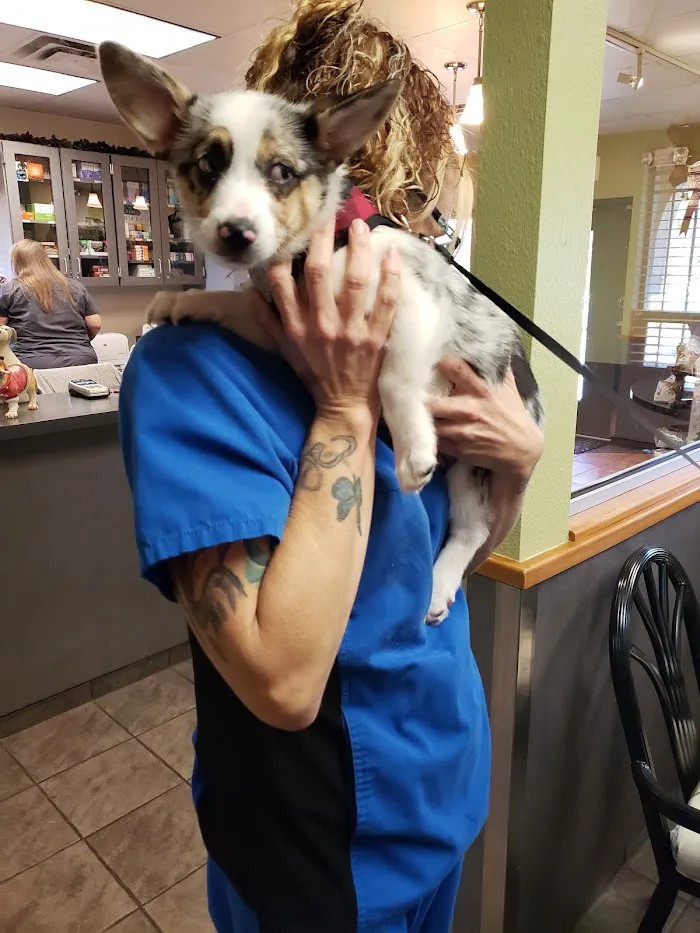 Conway Veterinary Hospital 12