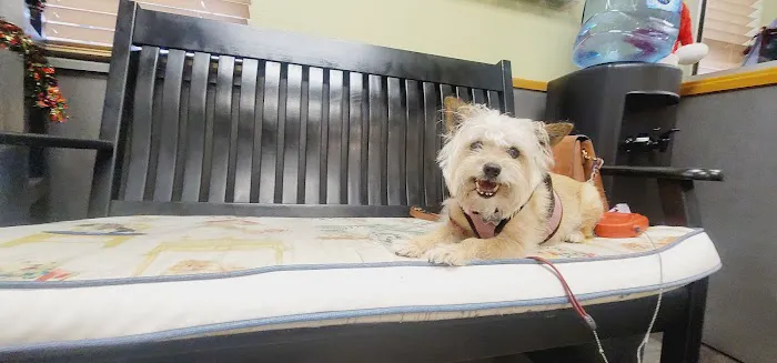 Conway Veterinary Hospital 12