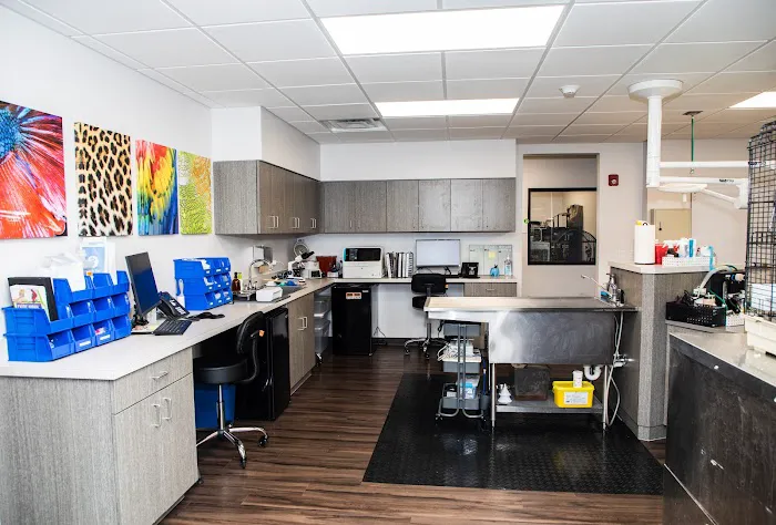 Exotic Animal Hospital of Orlando 12