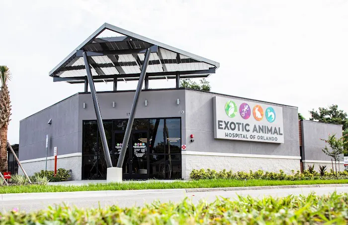 Exotic Animal Hospital of Orlando 12