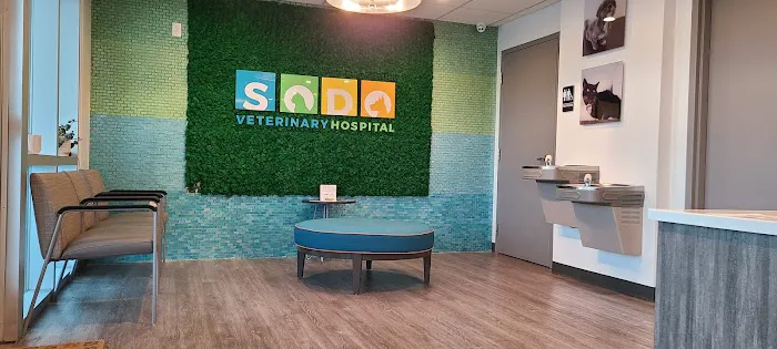 SODO Veterinary Hospital 12