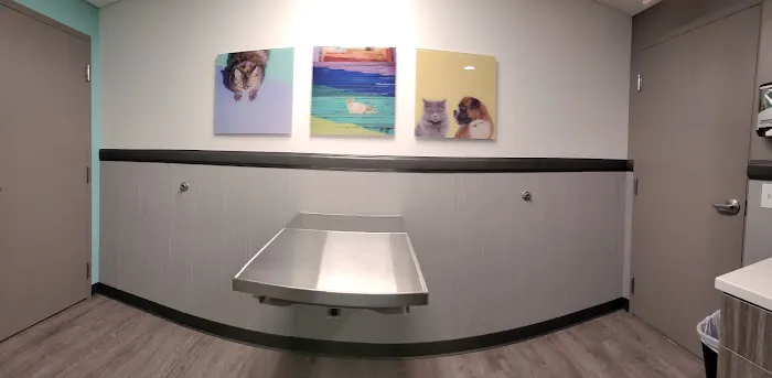 SODO Veterinary Hospital 12