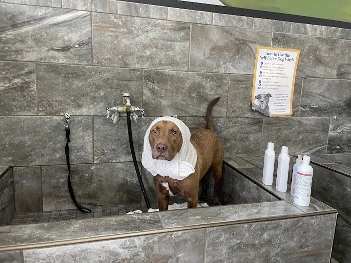 AA Animal Clinic 12