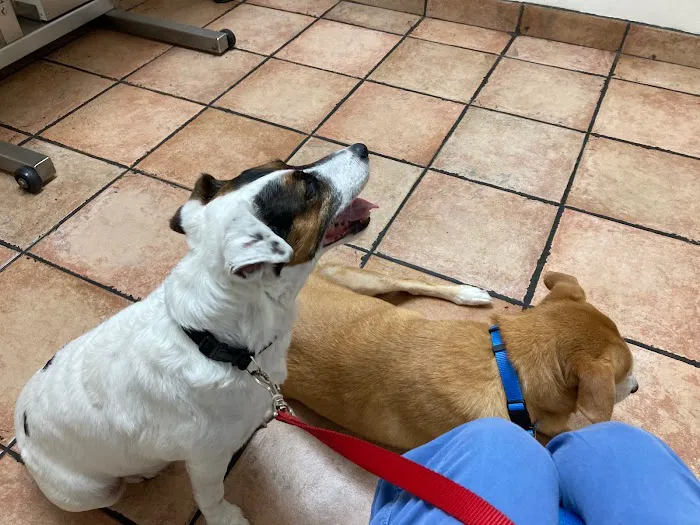 AA Animal Clinic 12