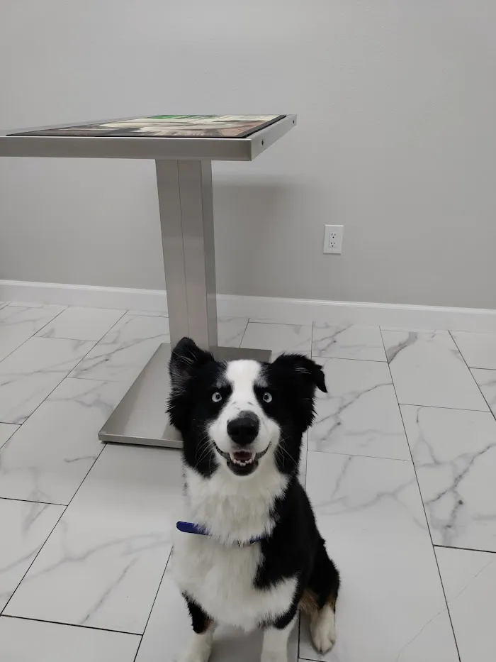 Pro Pet Animal Clinic 12