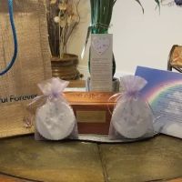 DeBary Animal Clinic ico