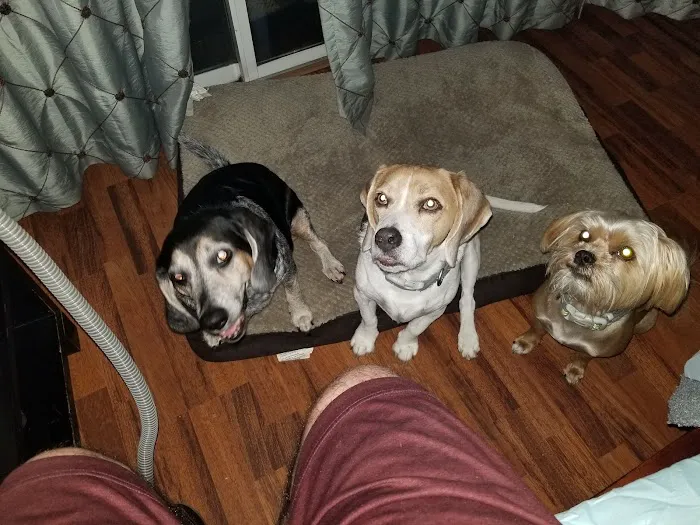 DeBary Animal Clinic 12